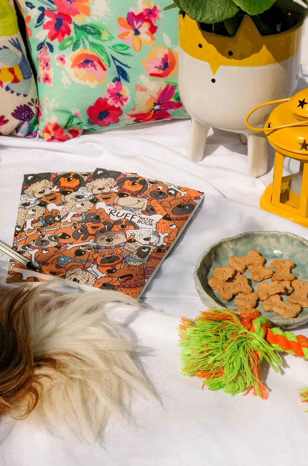 The Paws & Purrs Pet Parent Gift Box